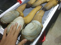 -蚝专家(北滘店)