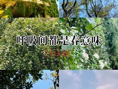 -府河摄影公园