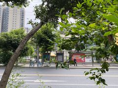 -成都市活水公园