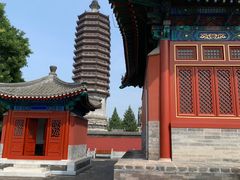 -西海子公园