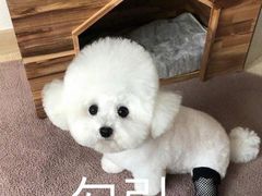 -东北王食府(科大店)