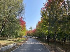 -秦皇岛野生动物园