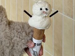 -红楼HONGLOU Gelato(淮海中路店)