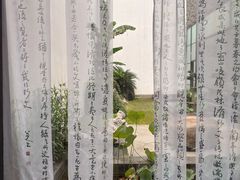 -八大山人梅湖景区