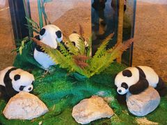 -成都保利公园皇冠假日酒店(熊猫基地店)