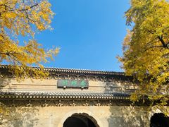 -灵谷景区
