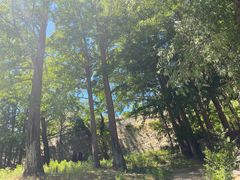 -阳台山自然风景区