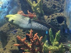 -多彩贵州城极地海洋世界