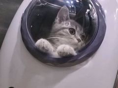 -达爱动物医院·犬猫分区·CT·复杂眼科(远洋山水分院)