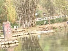 -靖西鹅泉风景区