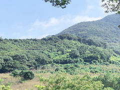 -福清灵石山国家森林公园