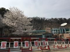 -镇江市南山风景名胜区竹林景区
