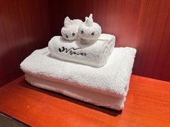 -天目湖涵田半山温泉