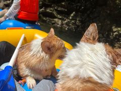 -安吉龙王山峡谷漂流