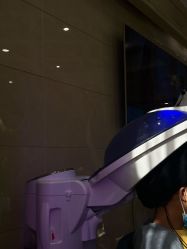 -碧莲盛·不剃发植发