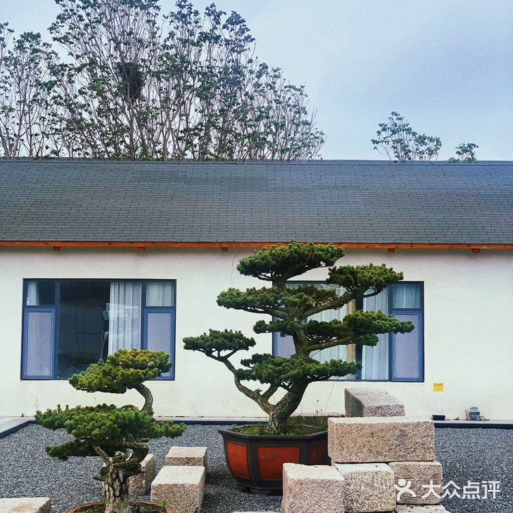 日照攻略｜隐藏在海边的图书咖啡馆，爱了吗？