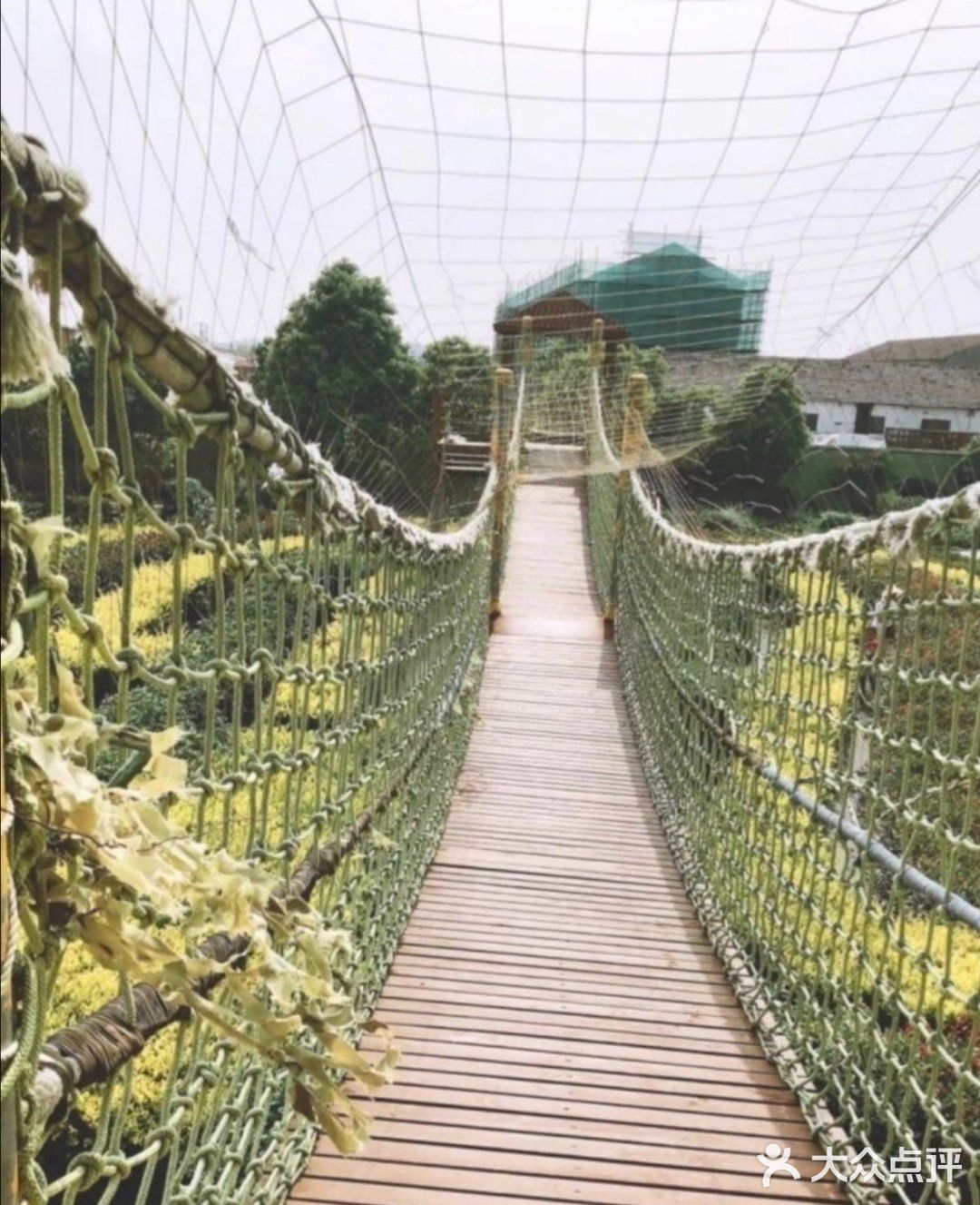 遛娃必打卡上海这家乐园，还可以和小动物互动呦[胜利]