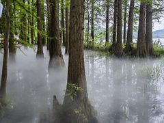 -东湖落雁景区