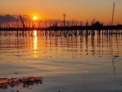 -人民防洪胜利纪念塔