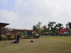 -上海长兴岛郊野公园