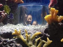 -多彩贵州城极地海洋世界