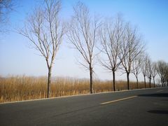 -泰山天颐湖旅游度假区