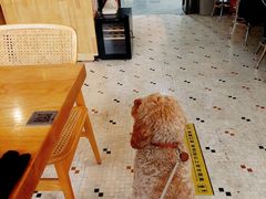 -老梦面包CHEZMOREL(麦子店)