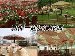 -盈香心动乐园