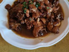 -金孔雀温泉旅游度假村