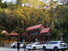 -原山国家森林公园