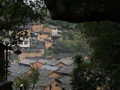 -杨家堂村
