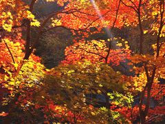 -本溪关山湖风景区