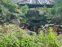 -花溪雨·森林餐厅(石基店)