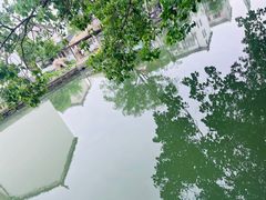 -同里国家湿地公园