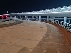 -演武大桥观景平台