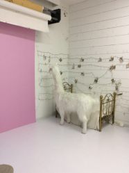 -星宝贝儿童摄影