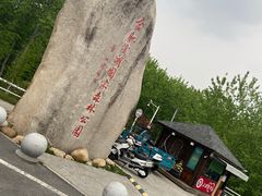 -合肥滨湖国家森林公园