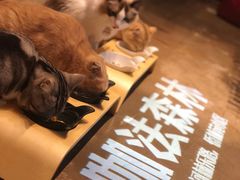 -咖法森林·咖啡  酒吧(天河店)