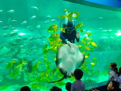 -苏州海洋馆