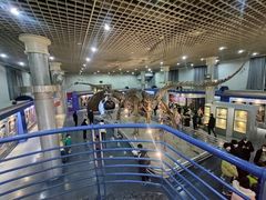 -国家自然博物馆