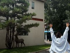 -琥珀川糟粕醋火锅(慈云寺店)