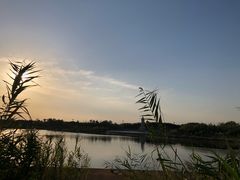 -卤阳湖国家湿地公园
