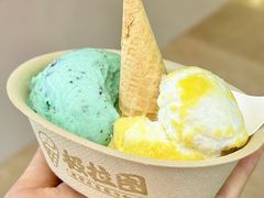 -极拉图·现制冰淇淋(大卫城店)