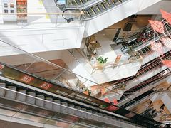-岭南站NOVA