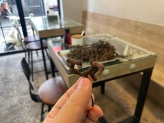 -鼎记瘦肉丸(寺后路店)