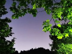 -阿哈湖国家湿地公园