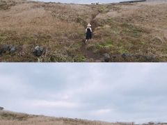 -涉地可支