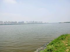 android_upload_pic-艾溪湖湿地公园