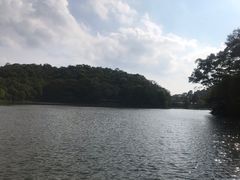 -广州市石门国家森林公园