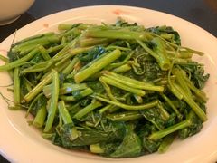 -白玉兰食品(汇联商厦店)